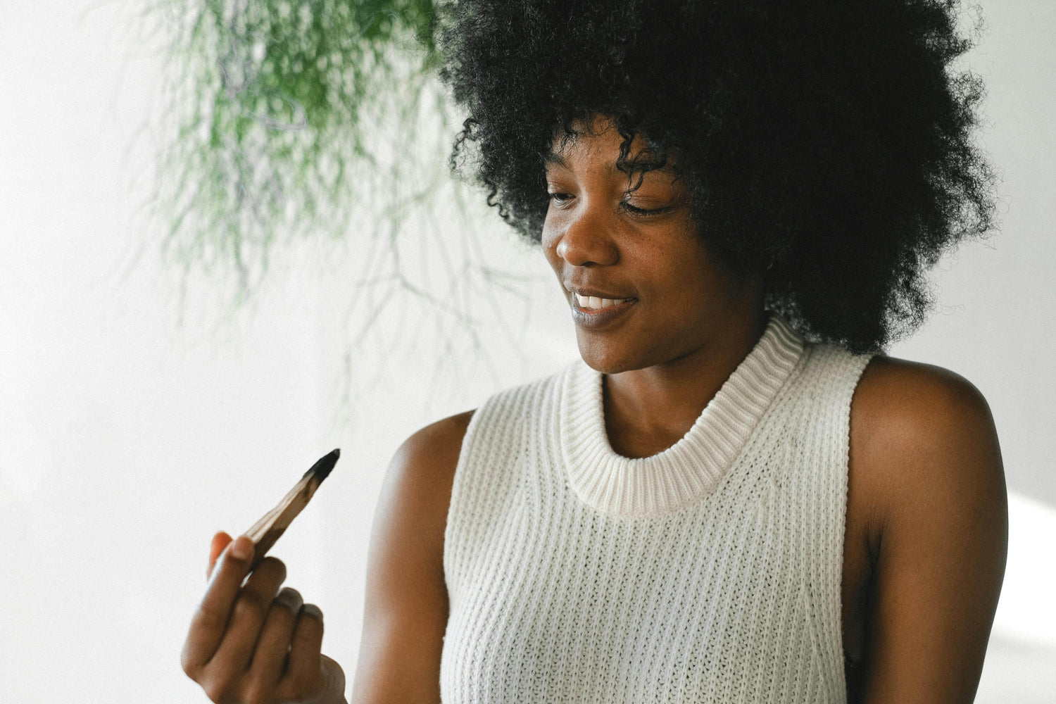 Echtes Palo Santo erkennen: 6 Unverkennbare Anzeichen authentischer Qualität - Hevela