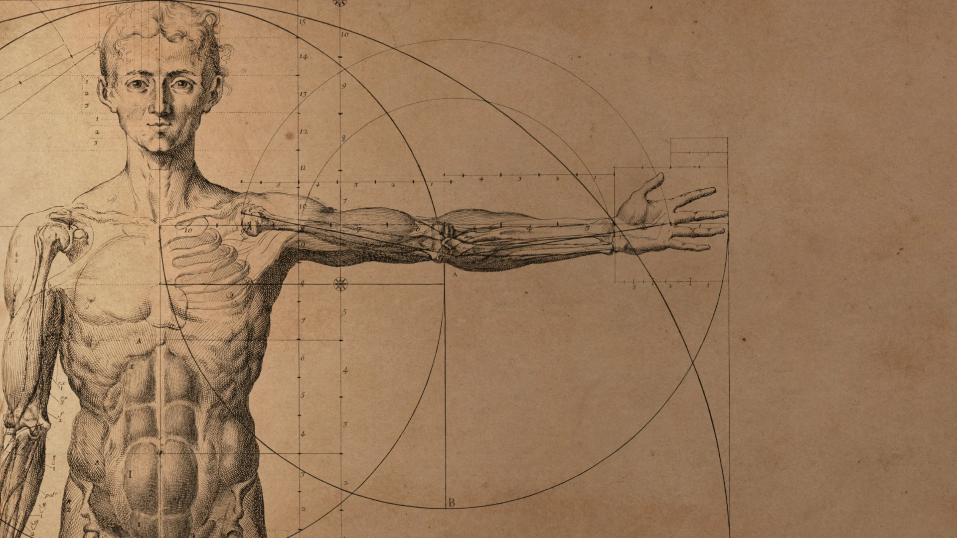 Medizienische Zeinung der Anatomie eines Mannes